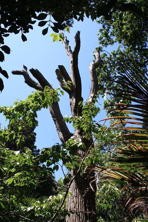 Hikurangi StayPlace Whanganui Bagian luar foto