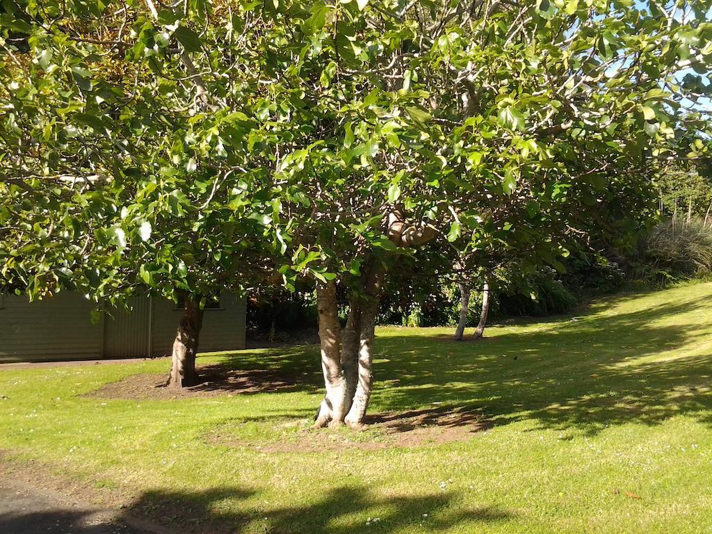 Hikurangi StayPlace Whanganui Bagian luar foto